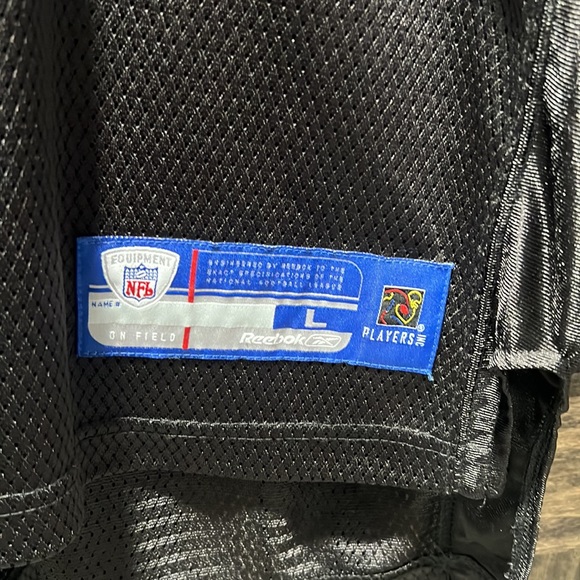 Steelers Polamalu short-sleeve on field Jersey - Picture 4 of 8